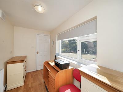 Picture 13